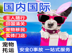 鞍山航空快递国际宠物托运 【国